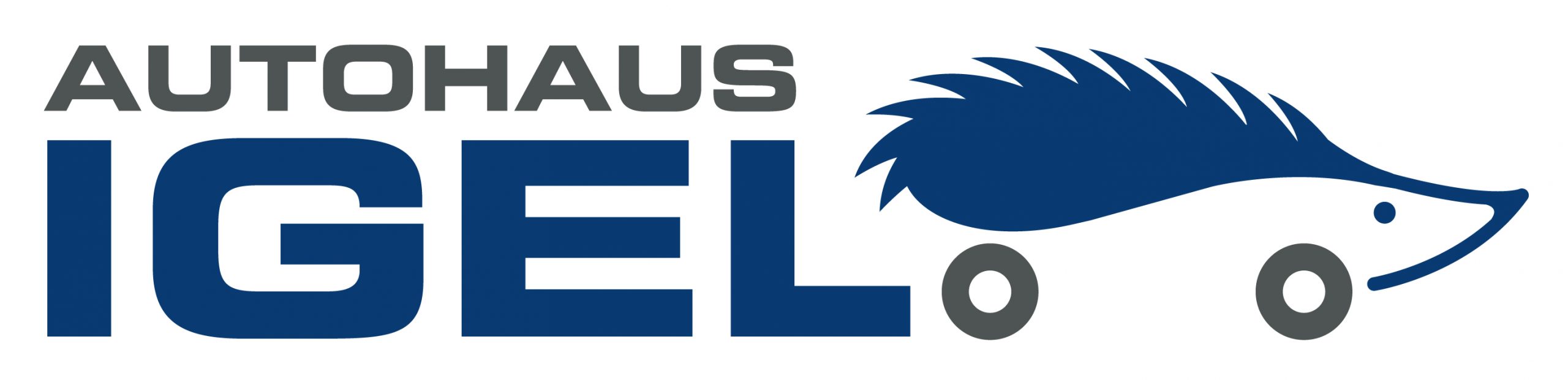 Autohaus Igel GmbH